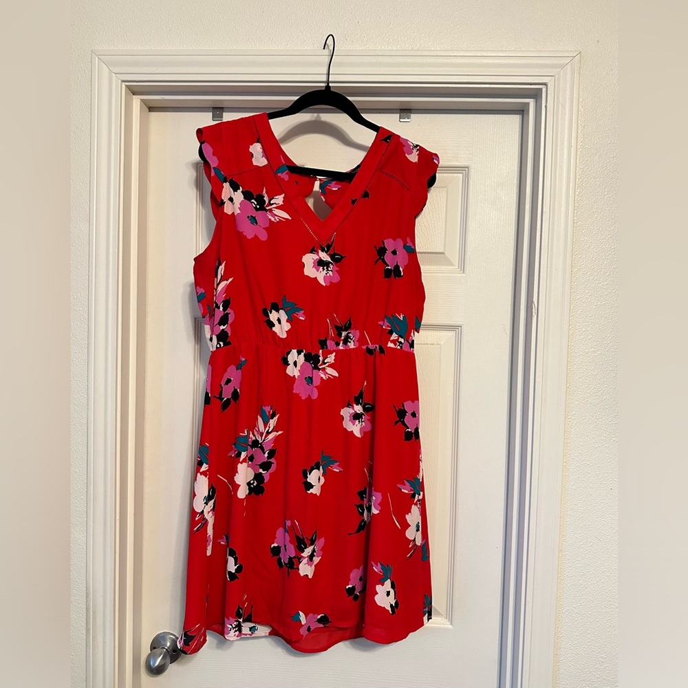 41 Hawthorn Red Sleeveless Sundress Mini